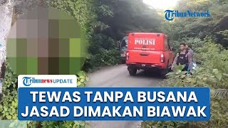Wanita Tanpa Busana Ditemukan Tewas Membusuk di Bawah Jembatan Sultra, Jasad Sempat Dimakan Biawak