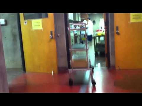 Science experiment gone wrong.