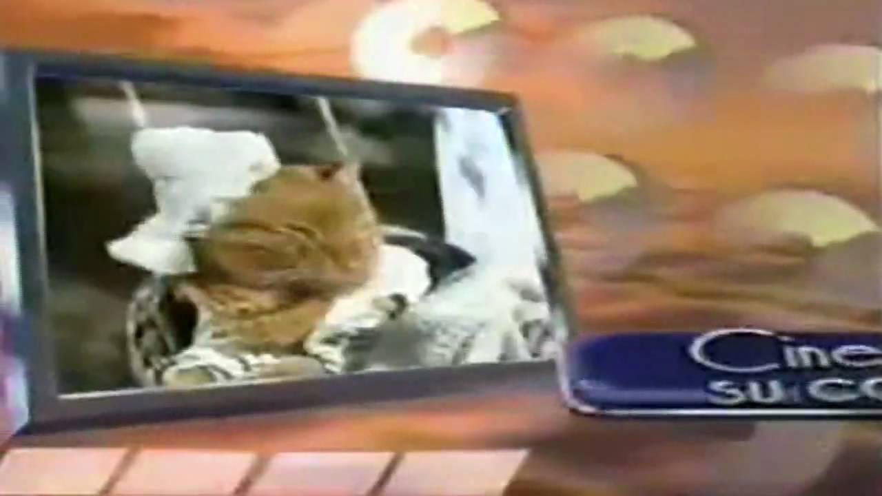 UCTV Canal 13: Bumpers 