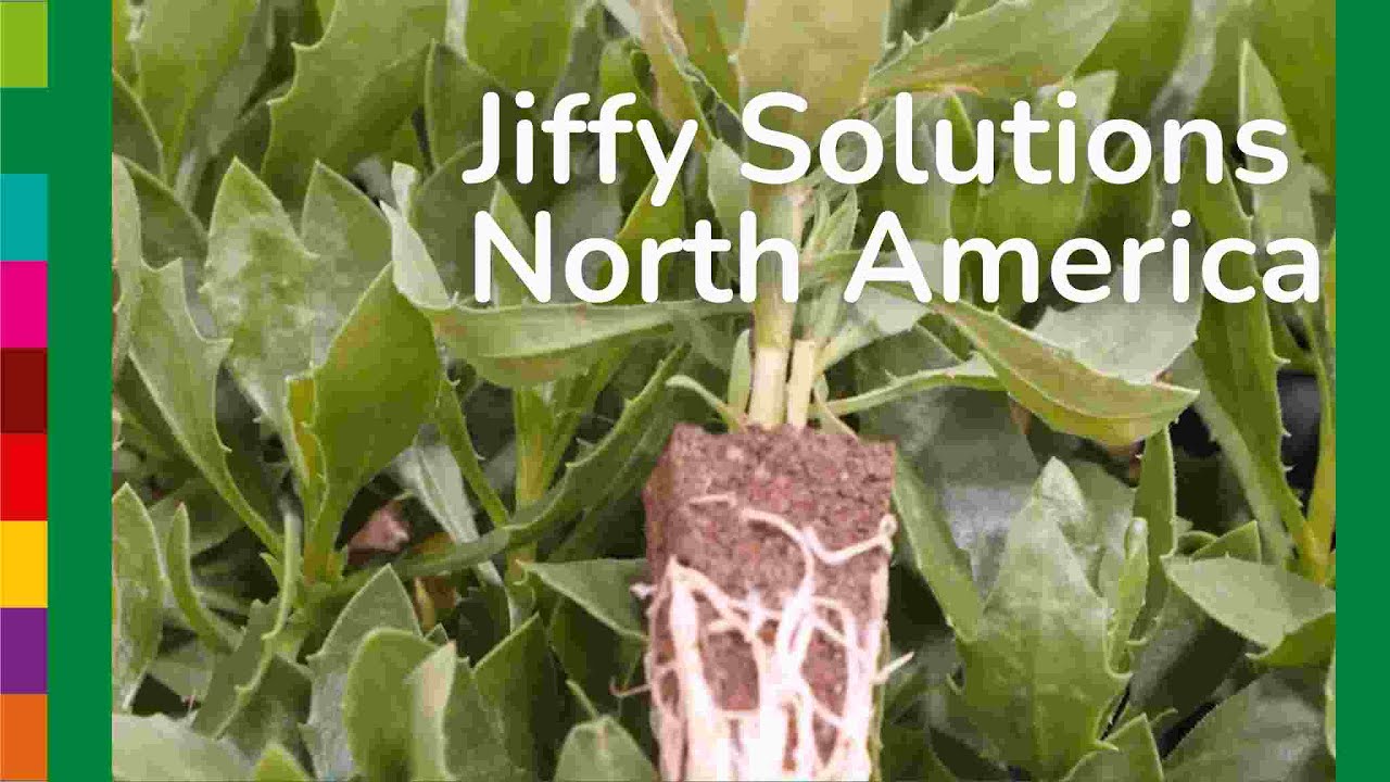 Jiffy Solutions for North America