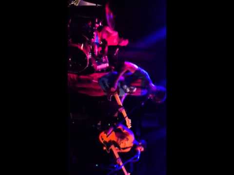 The Sparrowhawk Orkestrel - Never Trust a Lion