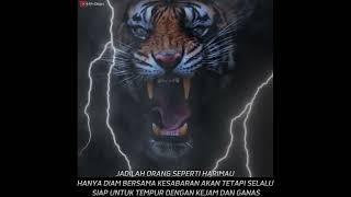 Download lagu Story WA macan putih terbaru #5 mp3