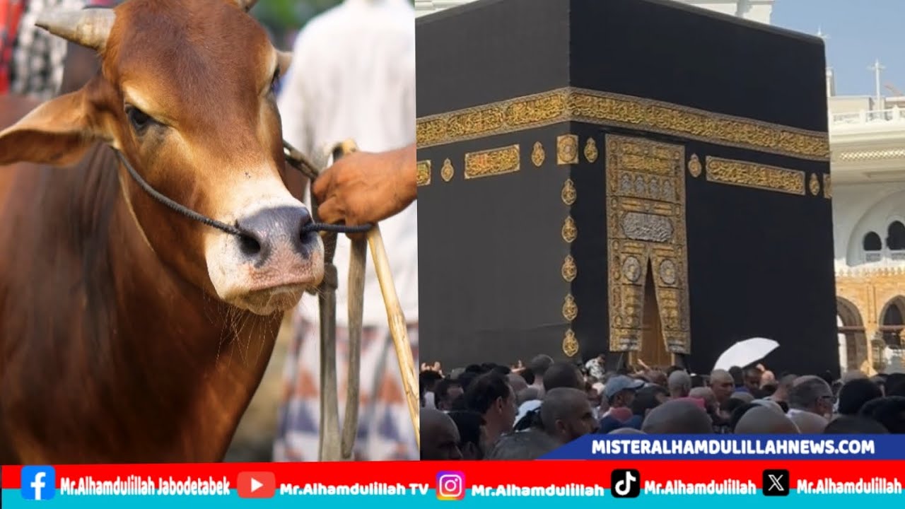 Video doc.misteralhamdulillahnews