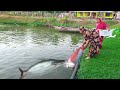 Unbelievable Catching Big Fish By Cast Net Fishing Village Beautiful Woman Catch Big Fish