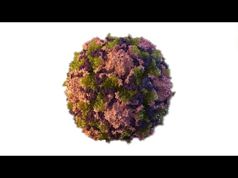 NY Rockland County Health Department Making Polio Vaccines Publicly Available