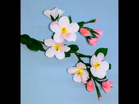 How to make Crepe Paper Flowers Apple Blossom ( flower # 225)