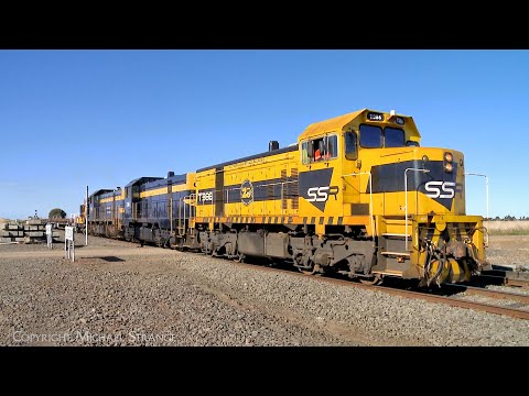 9165 Southern Shorthaul Railroad (SSR) Broad Gauge Rail Train (17/7/2023) - PoathTV Railways