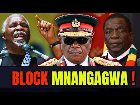 Thabo Mbeki and Constantino Chiwenga in a split image with Zimbabwean flags