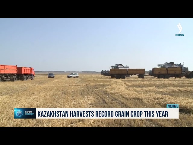 Kazakhstan harvests record grain crop this year