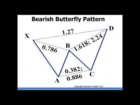 Butterfly Pattern