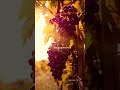 Naa Thandri Kumara Song WhatsApp Status God Jesus Holyspirit