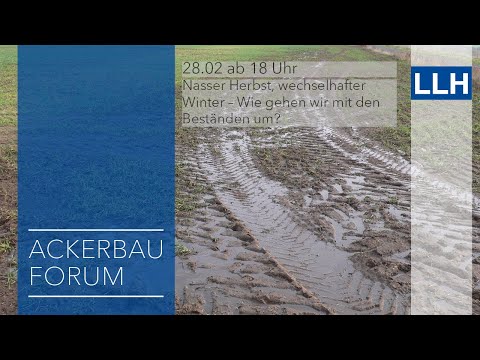 Digitales LLH Ackerbauforum: Empfehlungen für das Frühjahr