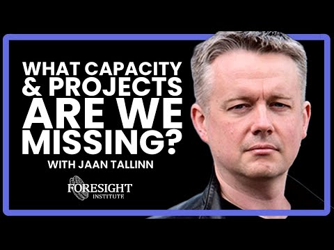 AI Safety Coordination : What Capacity & Projects are we Missing? | Jaan Tallinn