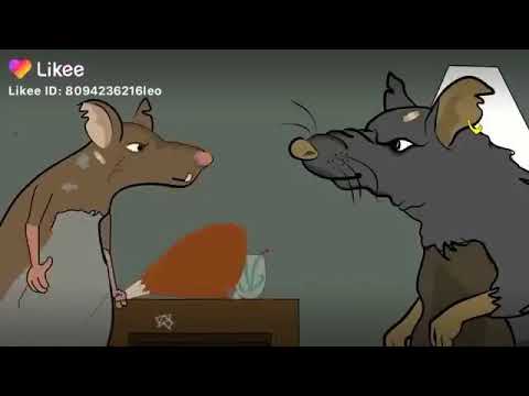 Vitico y Felix chites de ratones( me la pusieron fácil )