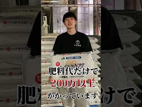 エトルリア農業について詳しく解説