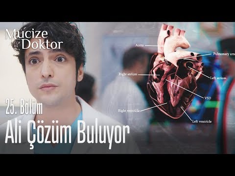 Ali çözüm buluyor - Mucize Doktor 25. Bölüm