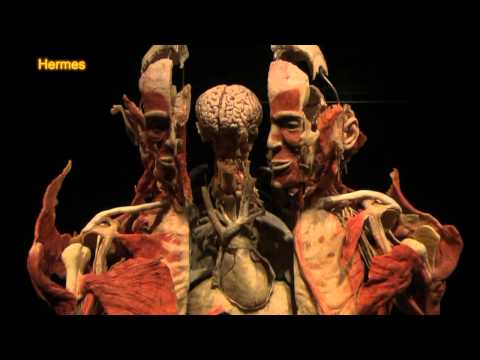 Die 10.000 wichtigsten ÖsterreicherInnen - Ganzkörperspender