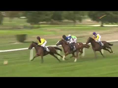 50 Jahre Rathsstuben Mülheim-Rennen