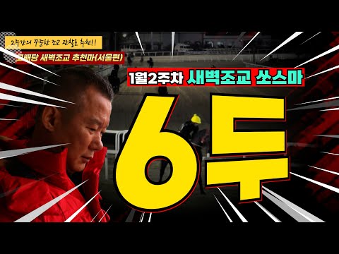 1월2주차 -강백호-경마주간!! 2주간 훈련변화 보인 새벽조교 쏘스마는?
