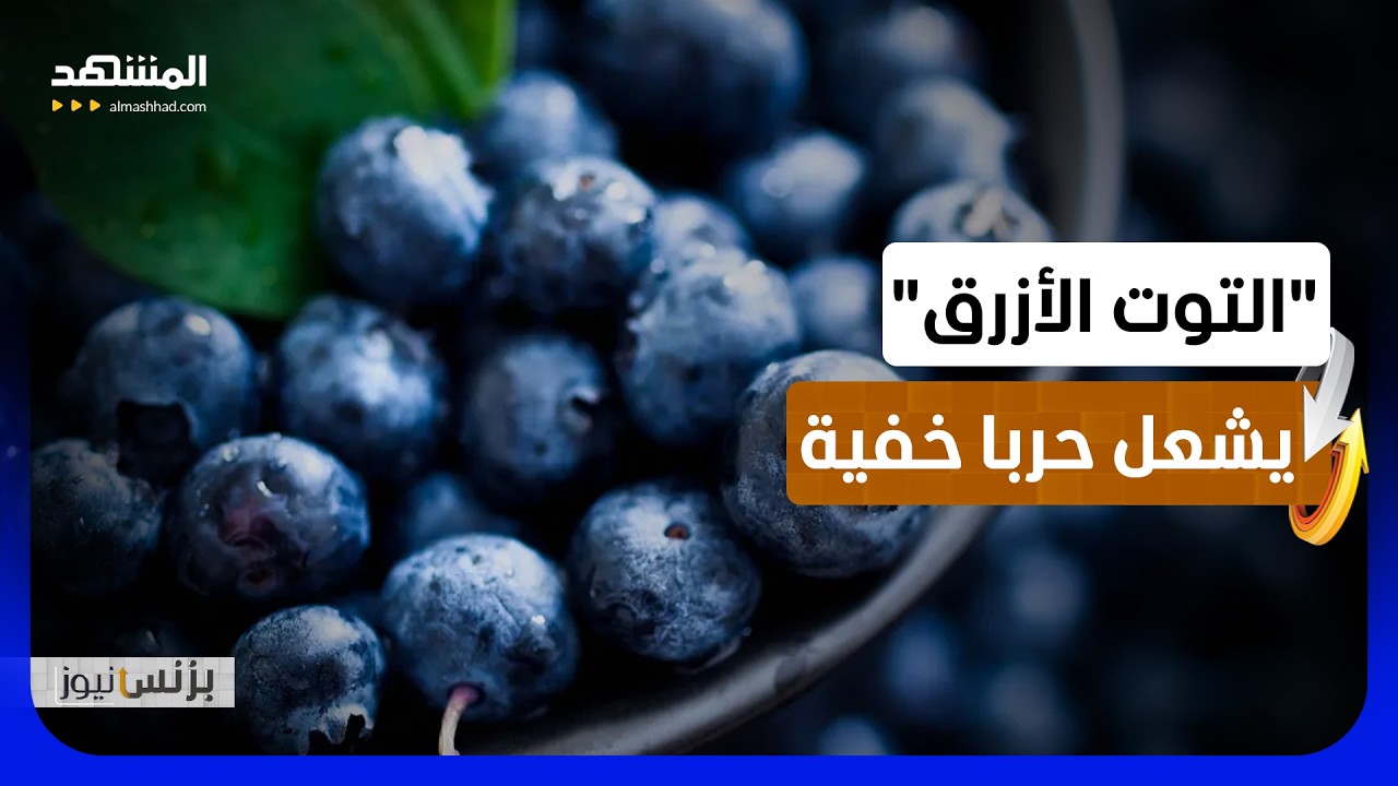 انهيار أسعار التوت الأزرق.. الصين تحول الفاكهة الفاخرة إلى سلعة شعبية - بزنس ن