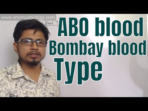 download lagu mp3 mp4 Bombay O Positive Blood, download lagu Bombay O Positive Blood gratis, unduh video klip Bombay O Positive Blood