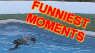 FUNNIEST Q&amp;A MOMENTS!!