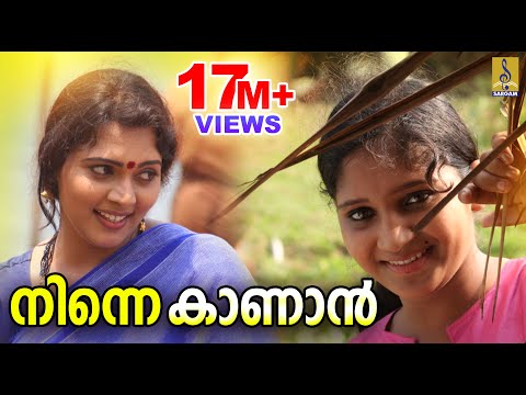 നിന്നെ കാണാൻ എന്നെക്കാളും | Ninne Kanan Ennekkalum | നല്ലമ്മ നാടൻ പാട്ട് | Durga Viswanath | Folk