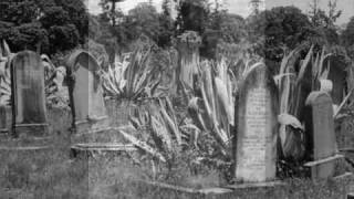 She Floats - Vanessa Carlton (fan video)