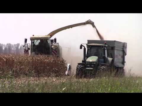 BiG X 580 con spannocchiatore a 8 file Dominoni!