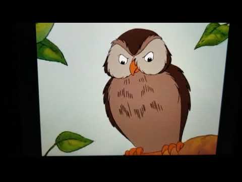 Owl - Little Bear Goes to the Moon