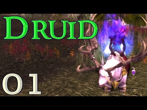WoW: Druid CoOp #1 - Starting Out (Teldrassil P1) | World of Warcraft Legion Gameplay 2017