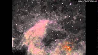 Spetsnaz - Bloodsport(Shaped By Proceed)