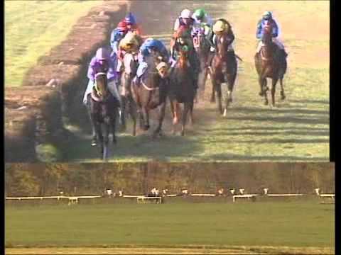 Galopprennbahn Dresden - 16.11.2011 - 4.Rennen