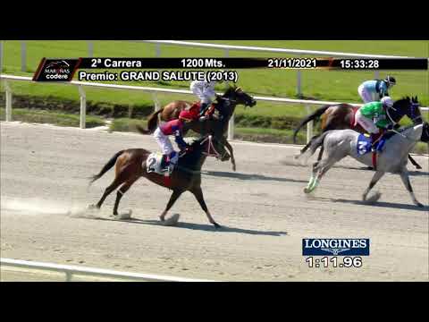 211121 c02 PERLA DEL SABA