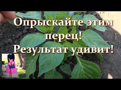 , title : 'Так мало кто делает когда перец плохо цветет и не завязывается.Как заставить цвести сладкий перец'