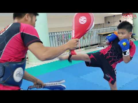 Võ Tự Vệ MMA ( H.Long 8t )