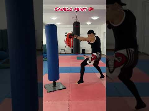 Canelo feint and punch #boxing #boxer #canelo #бокс #боксер #mma #lesson #training #fighter