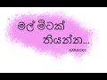 Mal Mitak Thiyanna Karaoke | Place a bunch of flowers (Without Voice)