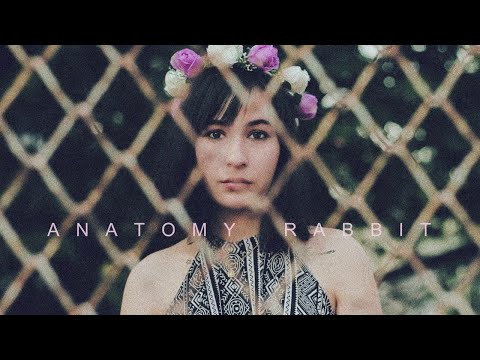 ANATOMY RABBIT - EVERY TIME