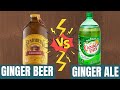 Ginger Beer Vs  Ginger Ale   The Difference Explained