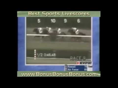 Donn Handicap -G1- 1995 - Cigar
