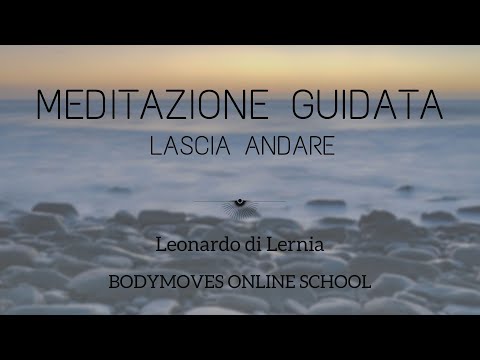 Guided Meditation: Let Life Flow | Leonardo di Lernia