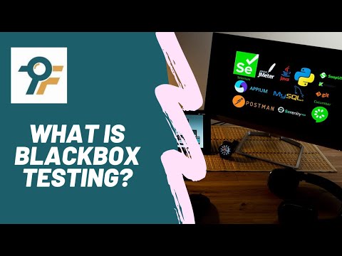 Software Testing #7 | Black Box Testing with Real Examples