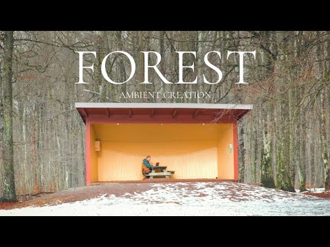 FOREST - Lofi Ambient Creation