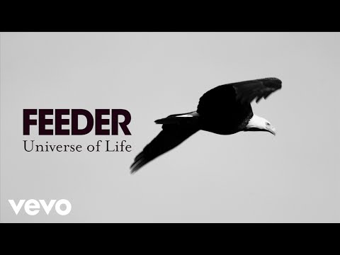 Feeder - Universe of Life