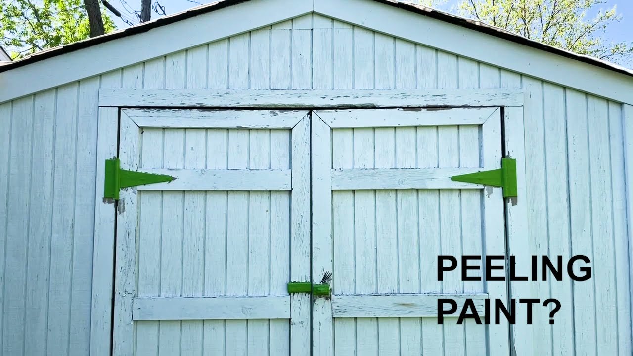 Thumbnail for Peeling Paint? Fix It With Zinsser Peel Stop Triple Thick Primer