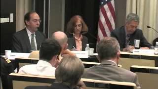 China's Rise, Chinese Strategy and Regional Security