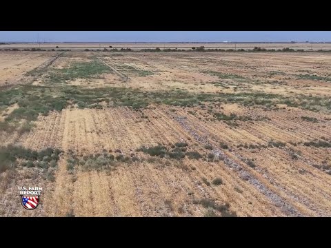 California's Water Crisis is Being Caused By a Man-Made Drought