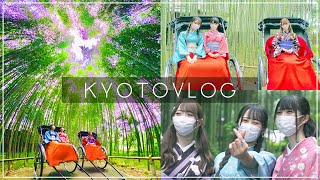 竹林の散策路