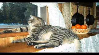 Christmas Will Be Just Another Lonely Day